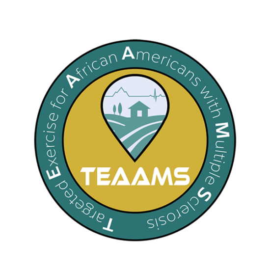 TEAAMS logo